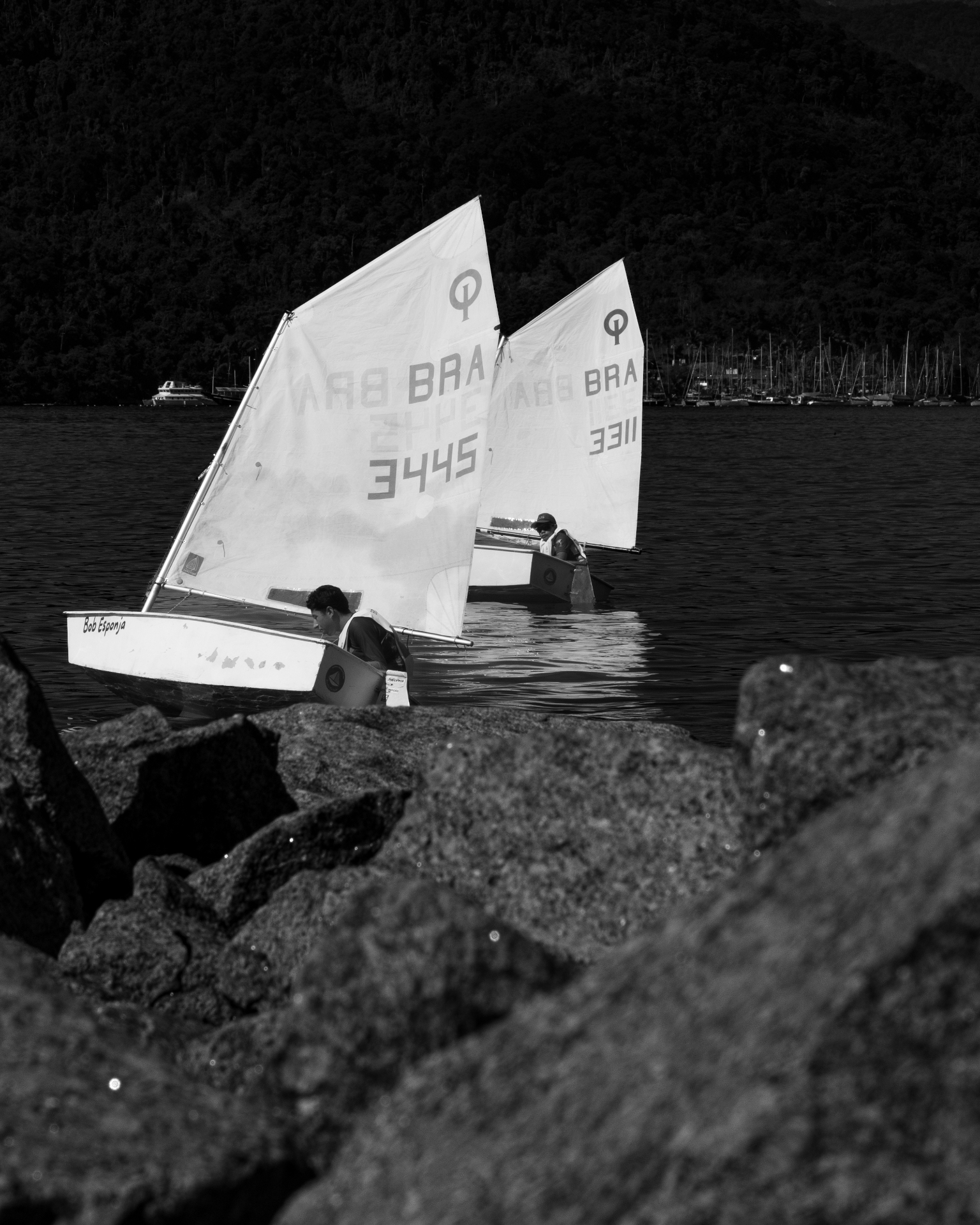 Veleiros da classe Optimist em treino em Paraty
