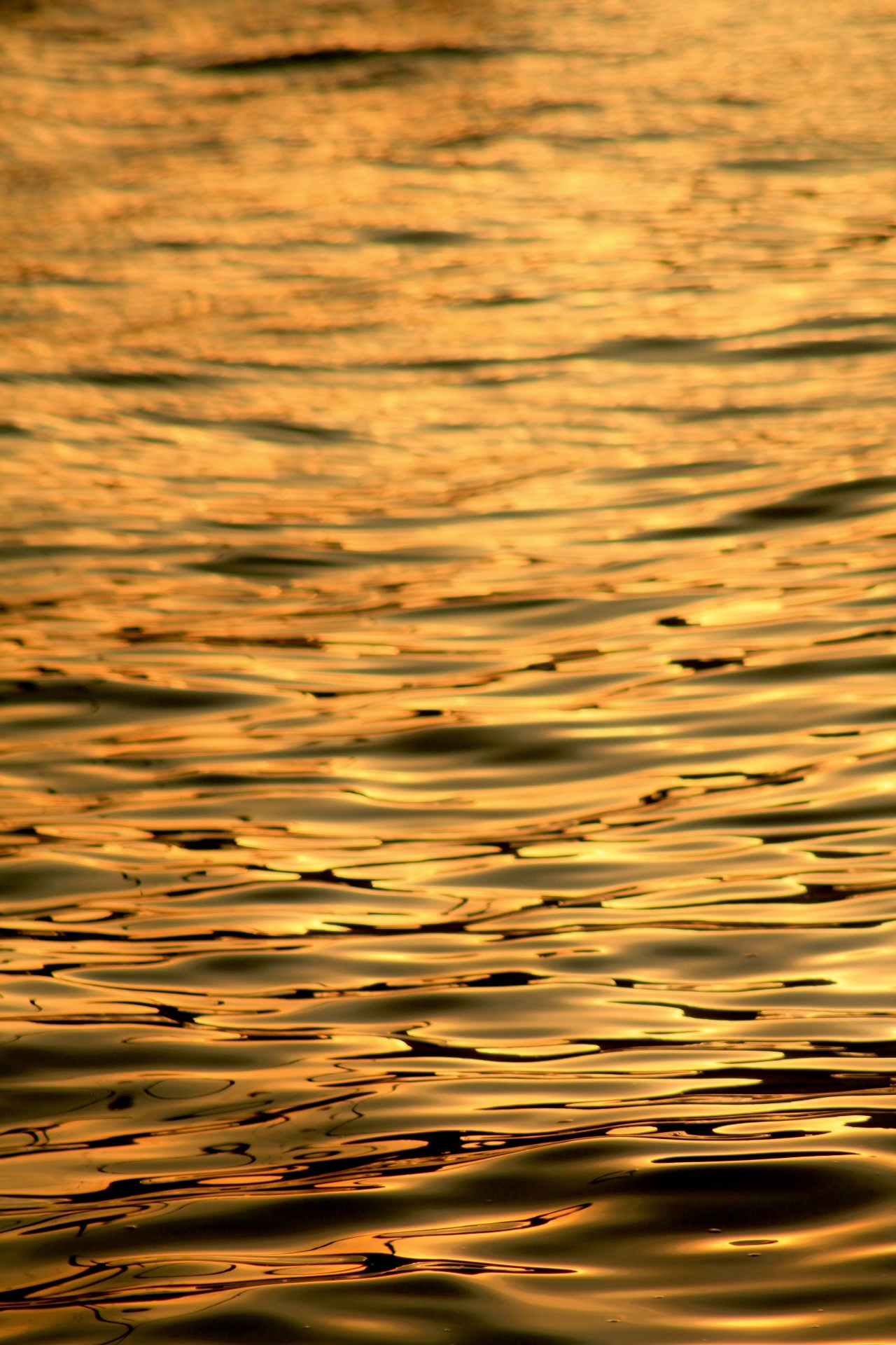Reflexo dourado da água ao pôr do sol